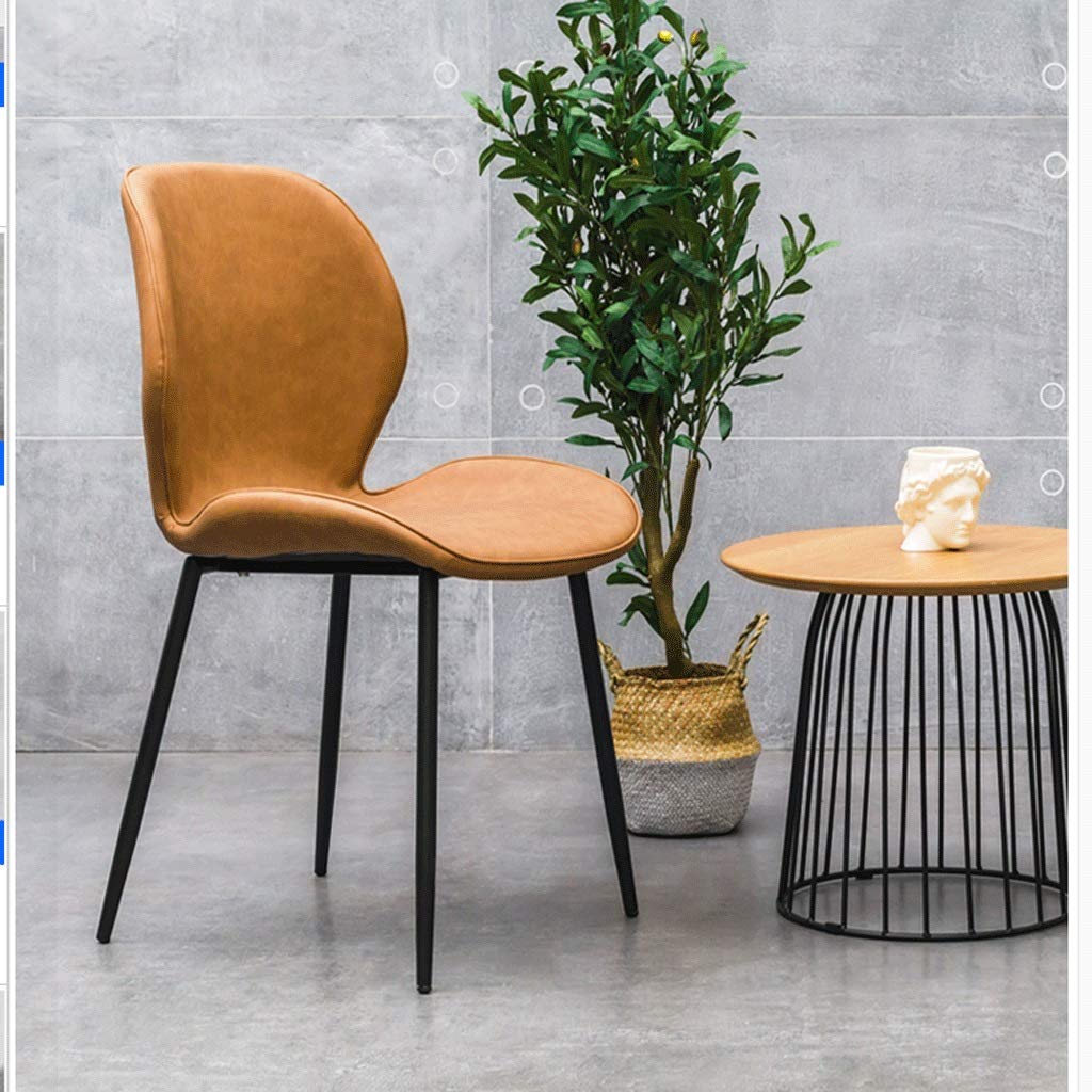 Modern Dining Chair for Kitchen, Bedroom and Living Room